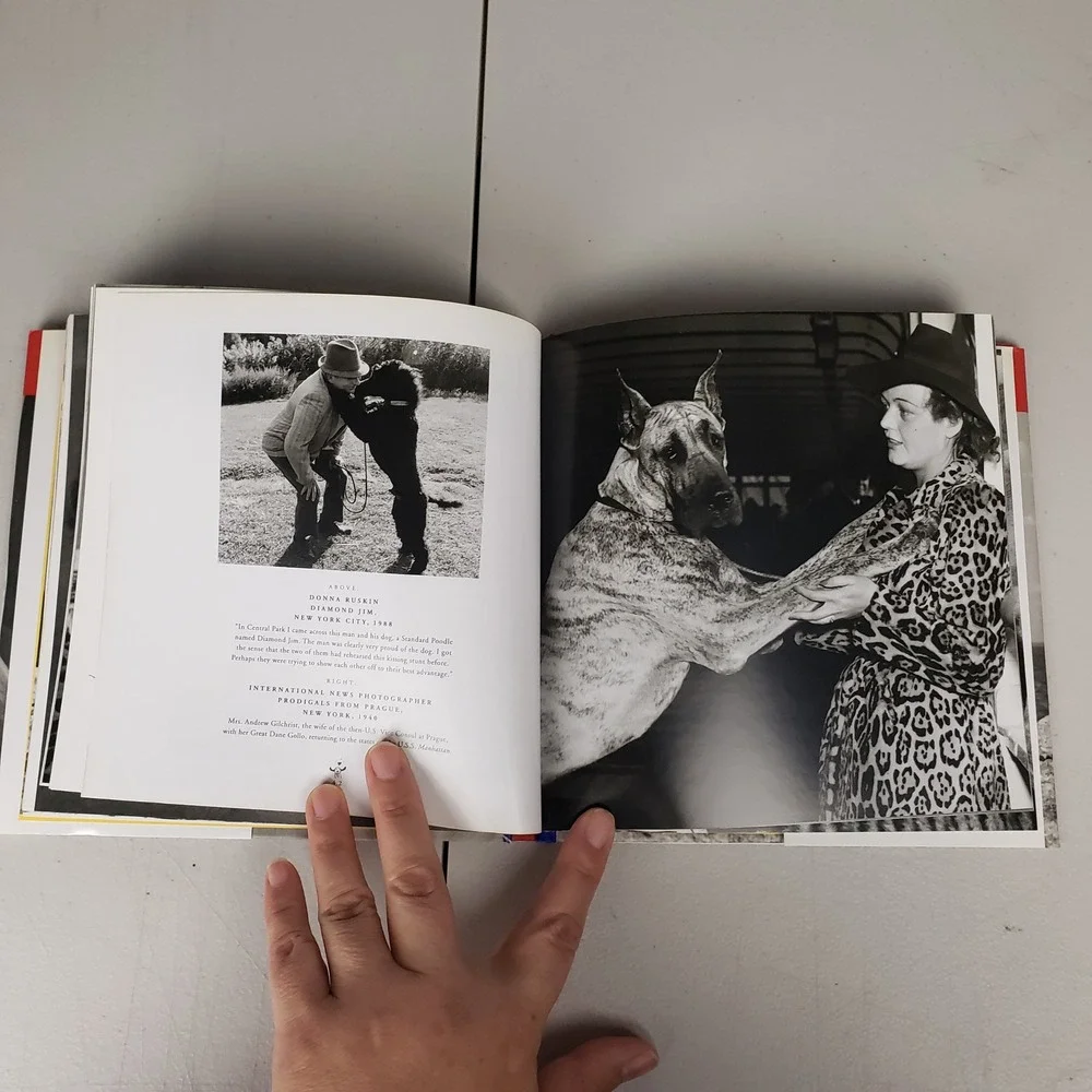 DOGS IN LOVE Hardcover Book JC Suares 1998 Vintage Photography Pet Gift